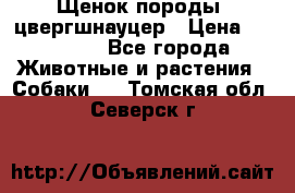 Щенок породы  цвергшнауцер › Цена ­ 30 000 - Все города Животные и растения » Собаки   . Томская обл.,Северск г.